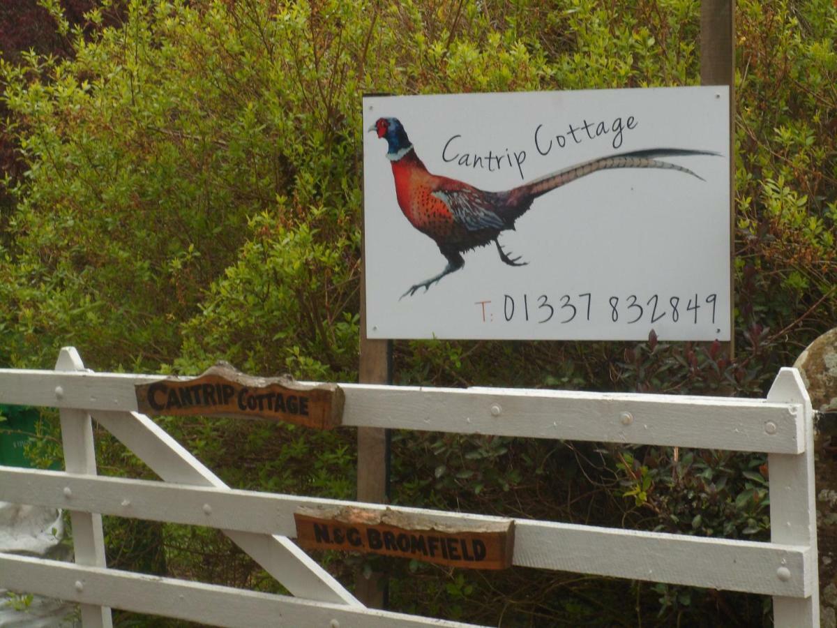 Cantrip Cottage Cupar Extérieur photo